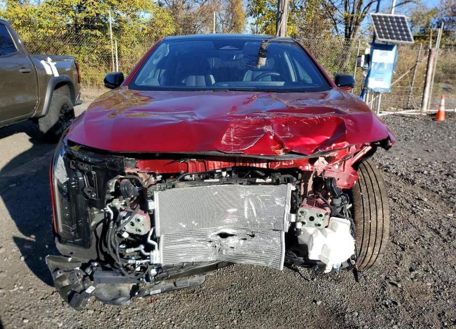 Salvage 2025 Cadillac Optiq Luxury in Burgundy