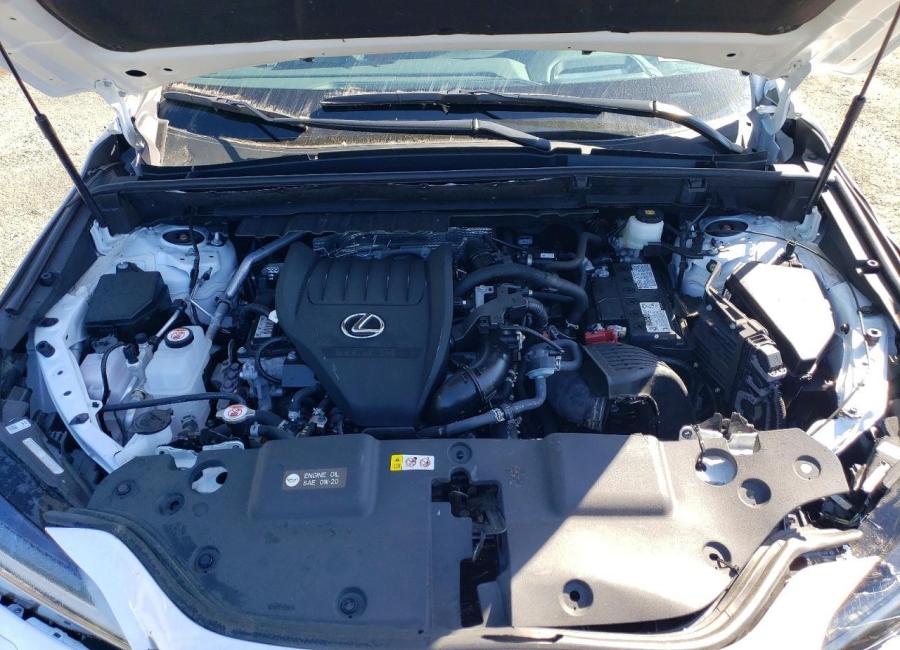 Salvage 2025 Lexus Nx 350 F Sport Handling in White