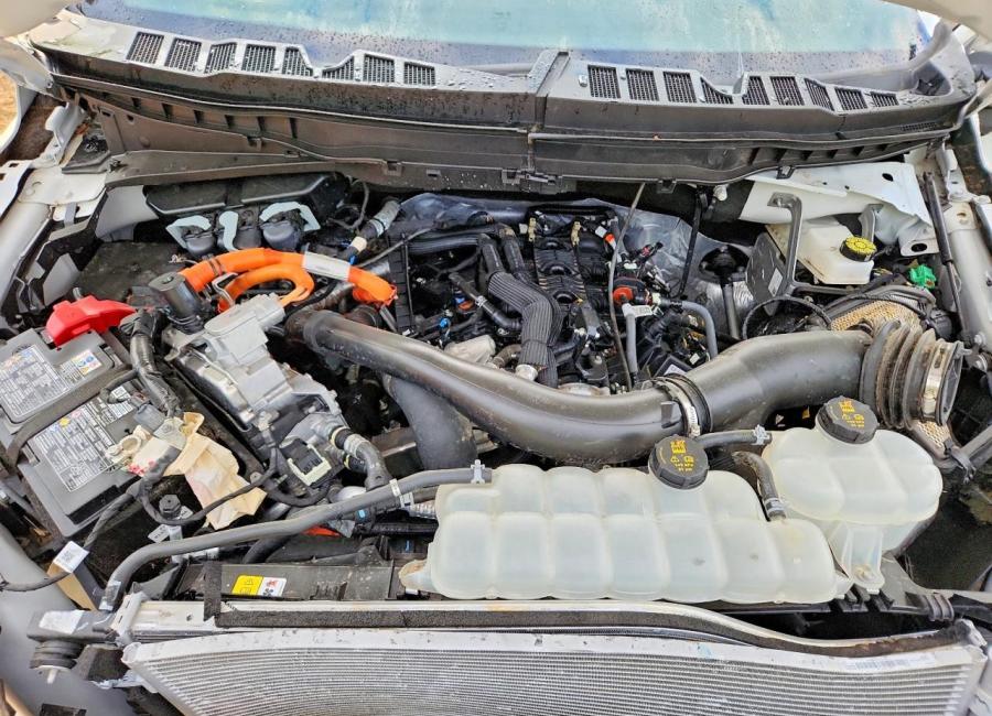 Salvage 2025 Ford F150 King Ranch in White