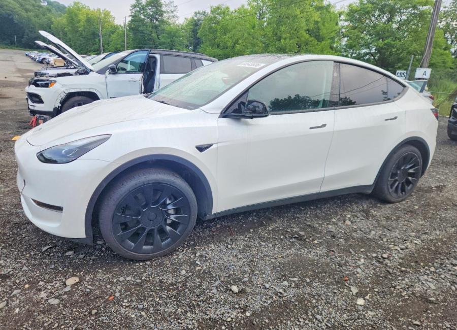 Salvage 2023 Tesla Model Y  in White