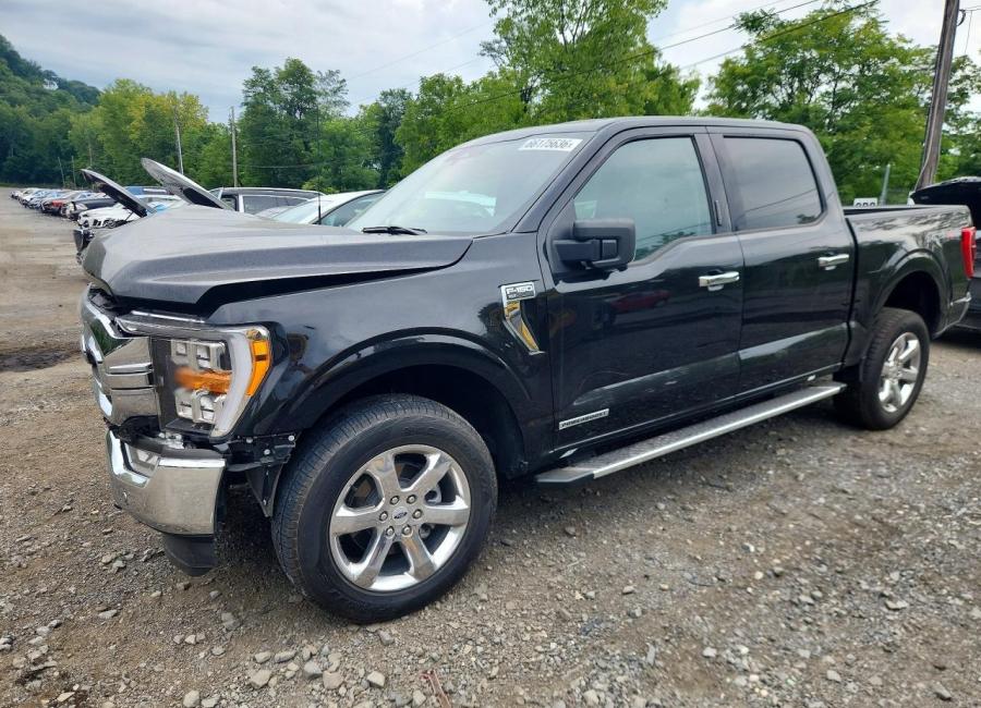 Salvage 2023 Ford F150  in Black