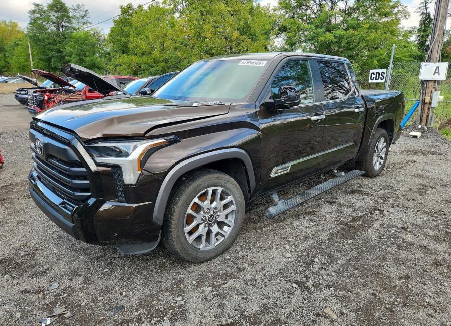 Salvage 2024 Toyota Tundra 1794 Edition Hv in Brown