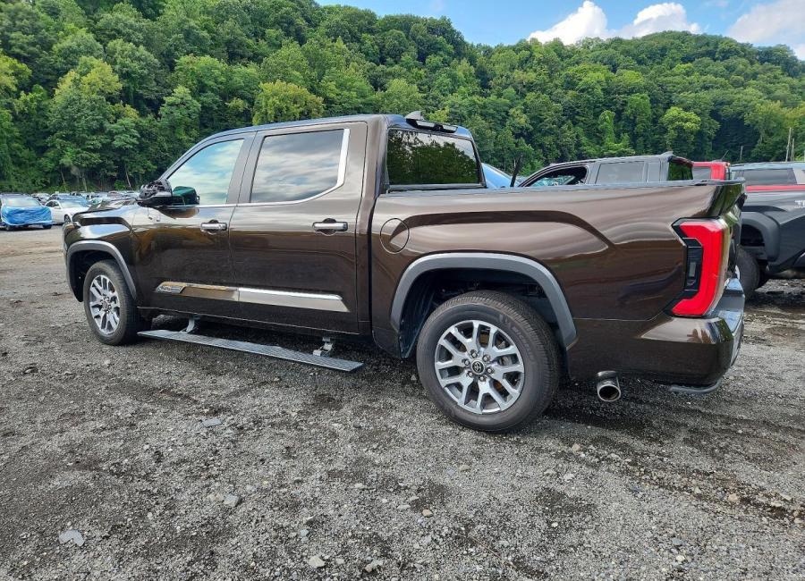 Salvage 2024 Toyota Tundra 1794 Edition Hv in Brown