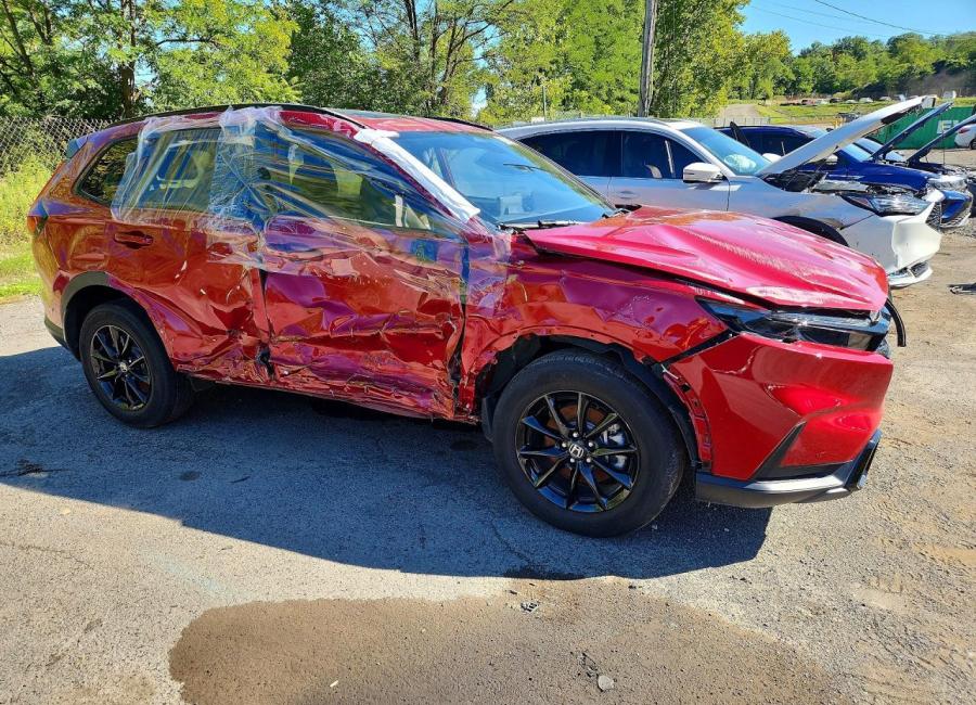Salvage 2026 Honda Cr-v  in Burgundy