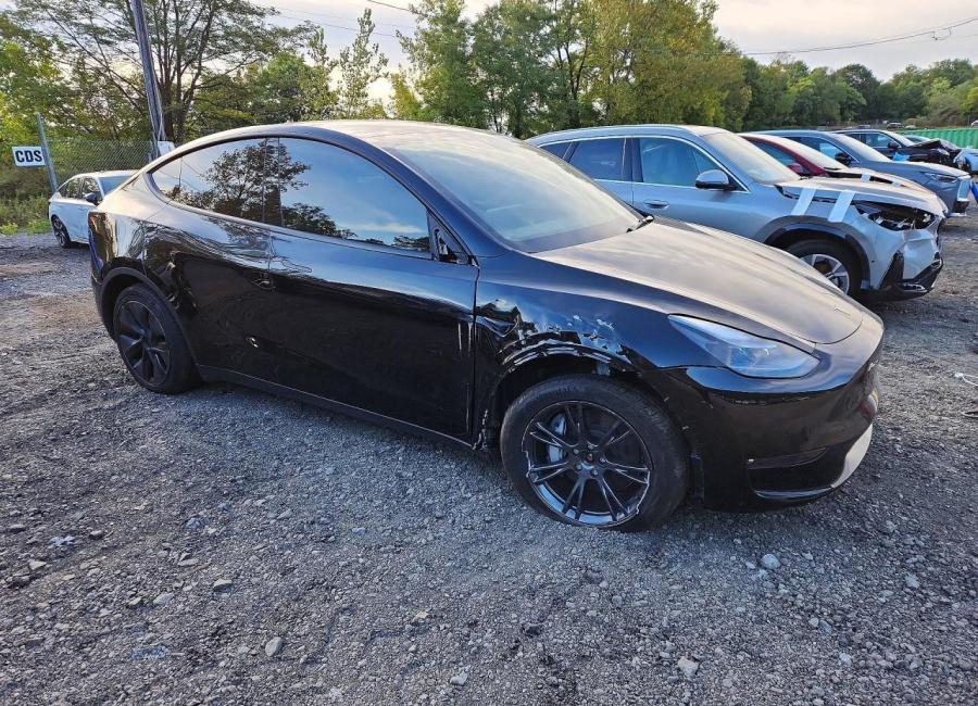 Salvage 2025 Tesla Model Y  in Black