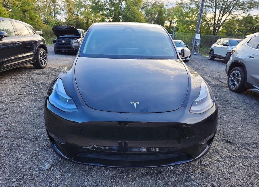 Salvage 2025 Tesla Model Y  in Black