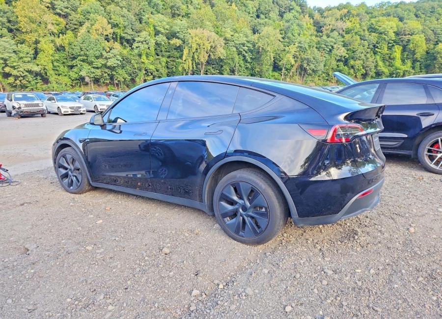 Salvage 2025 Tesla Model Y  in Black