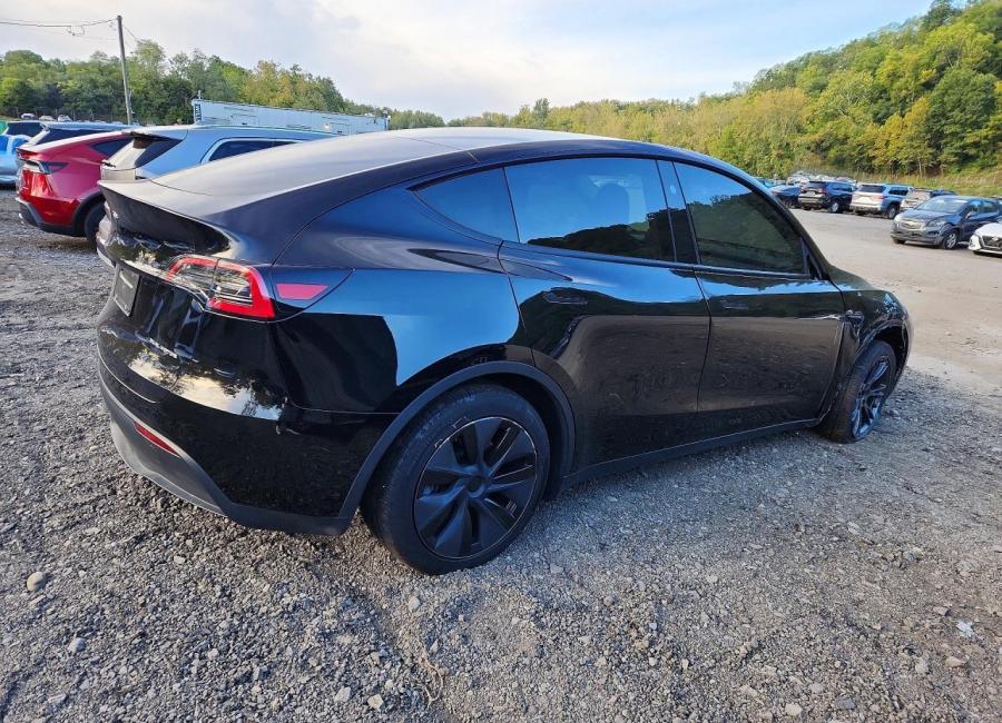 Salvage 2025 Tesla Model Y  in Black