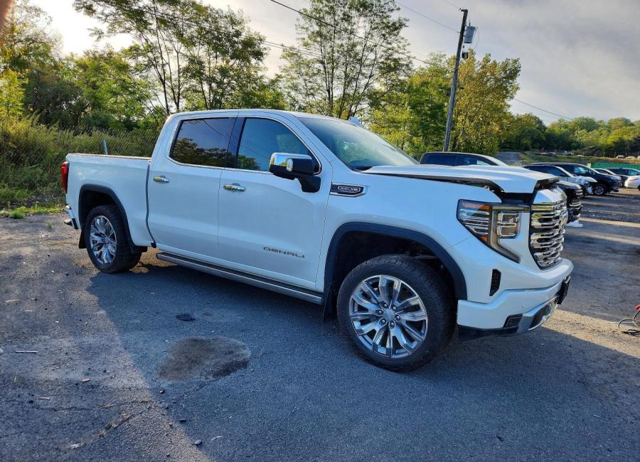 Salvage 2025 Gmc Sierra Denali in White