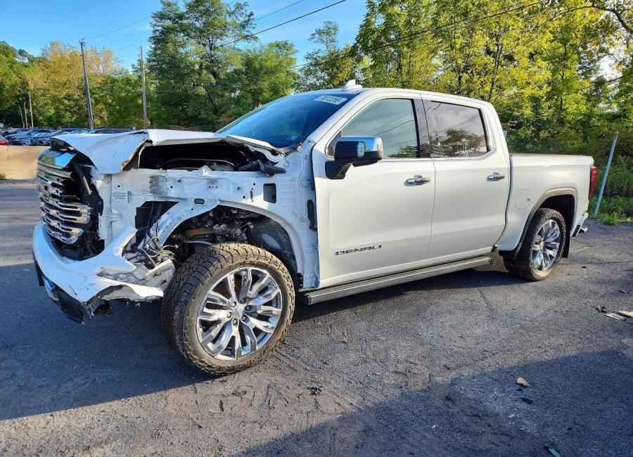 Salvage 2025 Gmc Sierra Denali in White