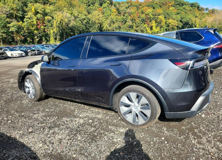 Salvage 2026 Tesla Model Y  in Gray