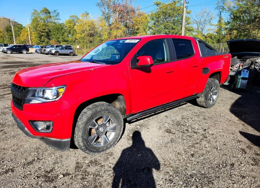 Salvage 2019 Chevrolet Colorado Z71 in Red