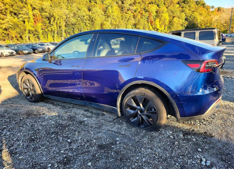Salvage 2025 Tesla Model Y  in Blue