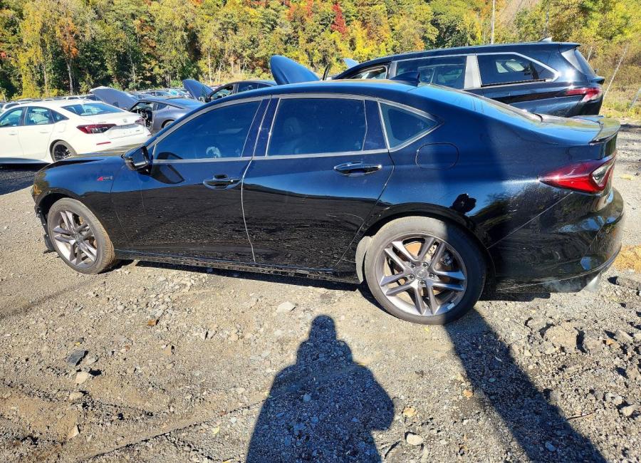 Salvage 2025 Acura Tlx A-spec in Black