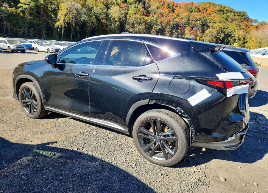 Salvage 2026 Lexus Nx 450h  in Gray