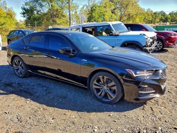 Salvage 2023 Acura TLX A-SPEC