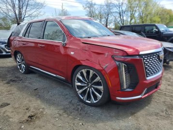 Salvage 2025 Cadillac Escalade PREMIUM LUXURY